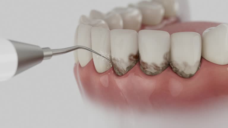 Reliable Dental contractor in Crest Hill, IL by Dentist Open Now